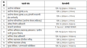 nagpur