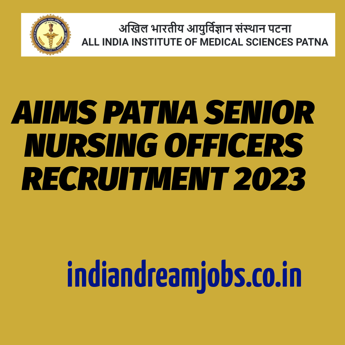 AIIMS Patna Senior Nursing Officer Recruitment 2023